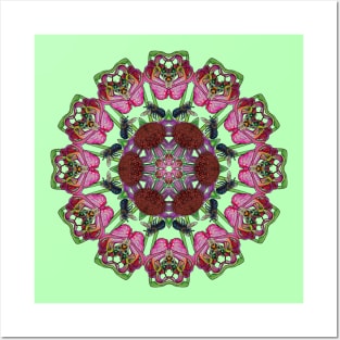 Carolinian Wildflowers Kaleidoscope Posters and Art